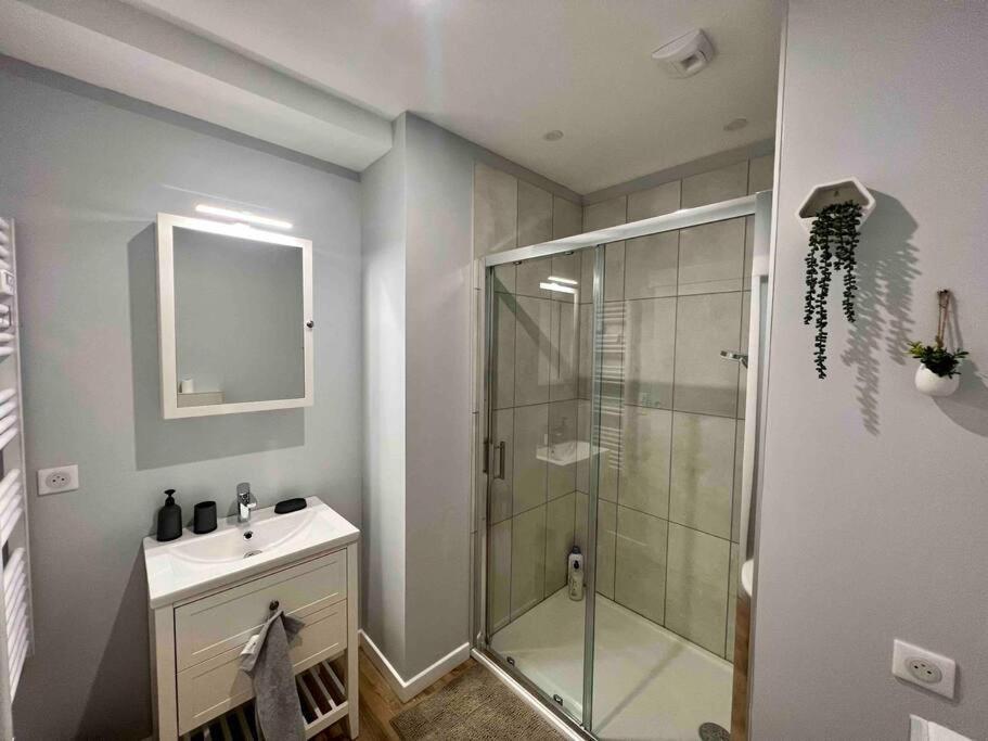 Appartement Climatise / Centre-Ville / 4 Personnes Безансон Екстер'єр фото